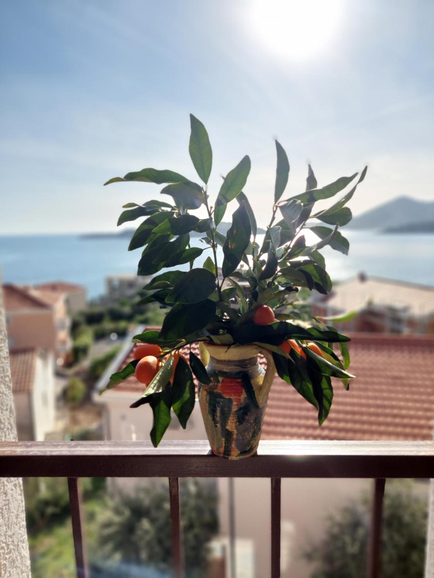 Apartmani Dalex Budva Kültér fotó